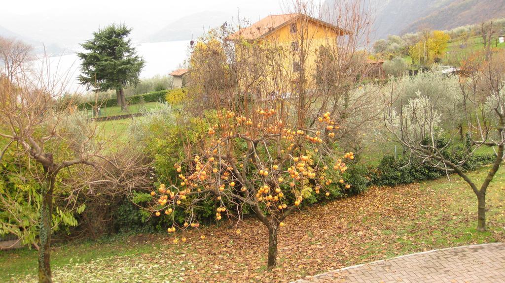 B&B Garden Solto Collina Экстерьер фото