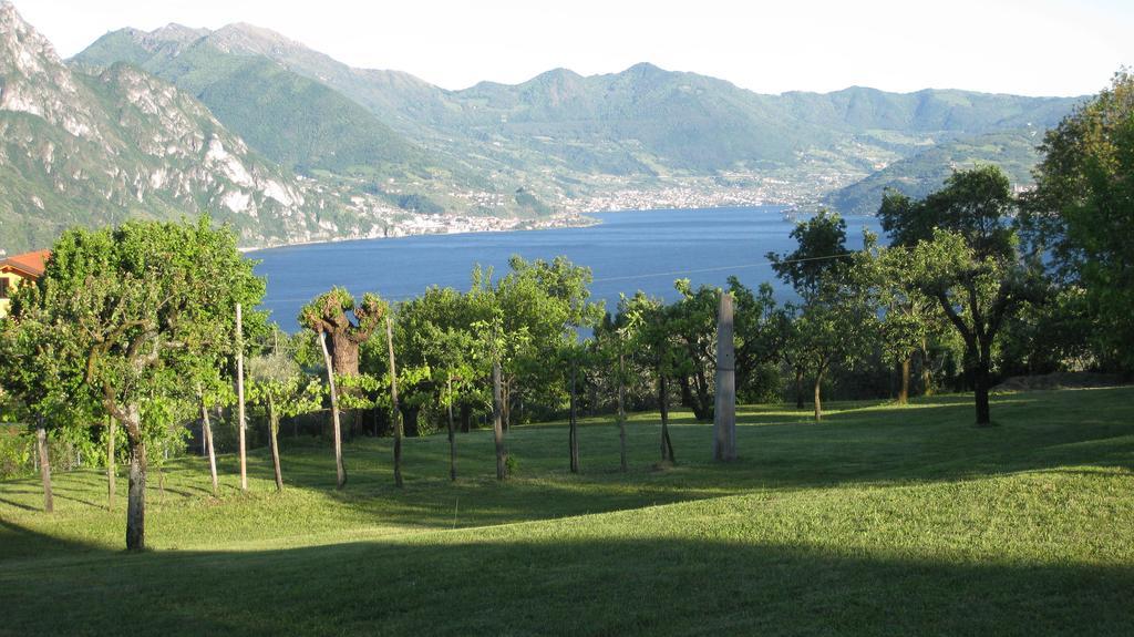 B&B Garden Solto Collina Экстерьер фото